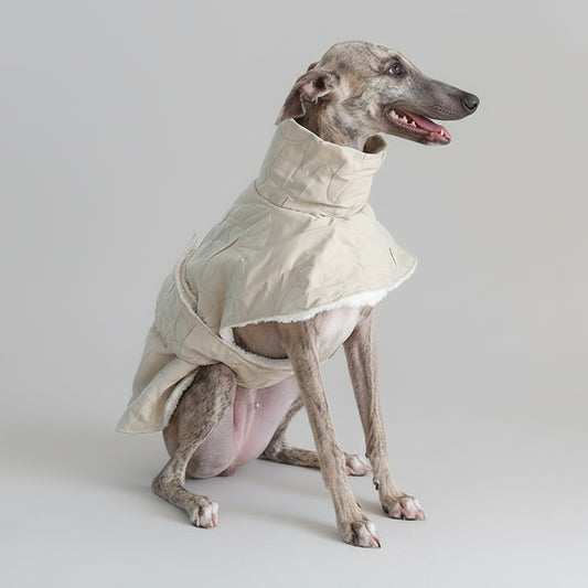 Manteau pour lévrier whippet en beige, avec col montant et doublure douce pour le confort