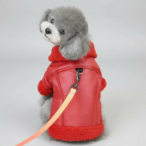 Petit chien gris portant un manteau pour petit chien rouge en fausse fourrure avec laisse