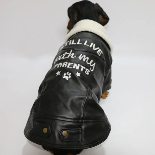 Manteau pour petit chien en simili cuir noir avec col en fausse fourrure par Oscar et Plume