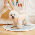 Charger l'image dans la visionneuse de la galerie, Petit chien blanc portant un manteau pour petit chien doux et confortable dans un intérieur cosy
