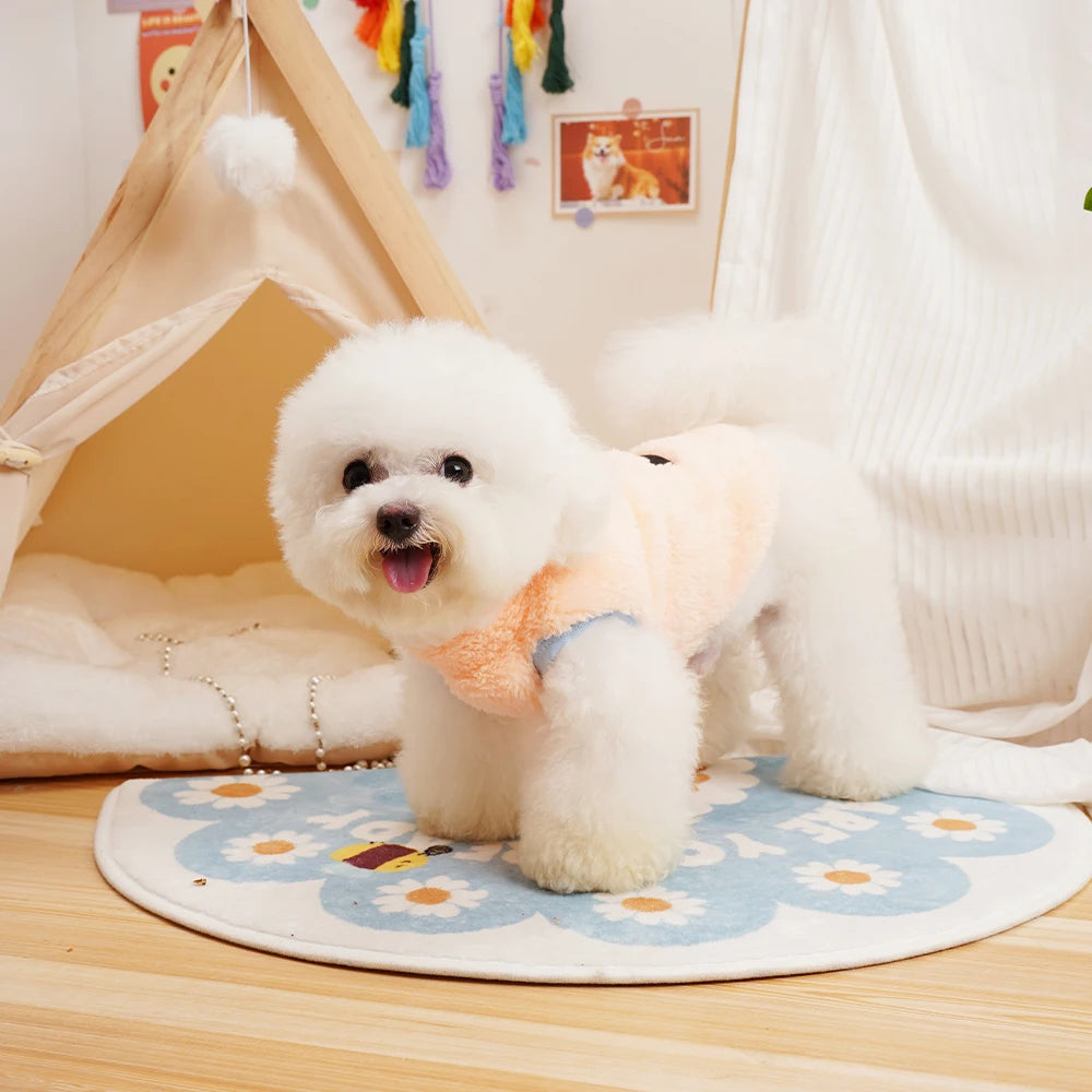 Petit chien blanc portant un manteau pour petit chien doux et confortable dans un intérieur cosy