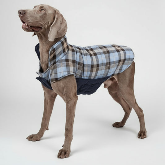 Manteau réversible pour chien Oscar et Plume en tissu à carreaux bleu et marron, modèle chaud et confortable