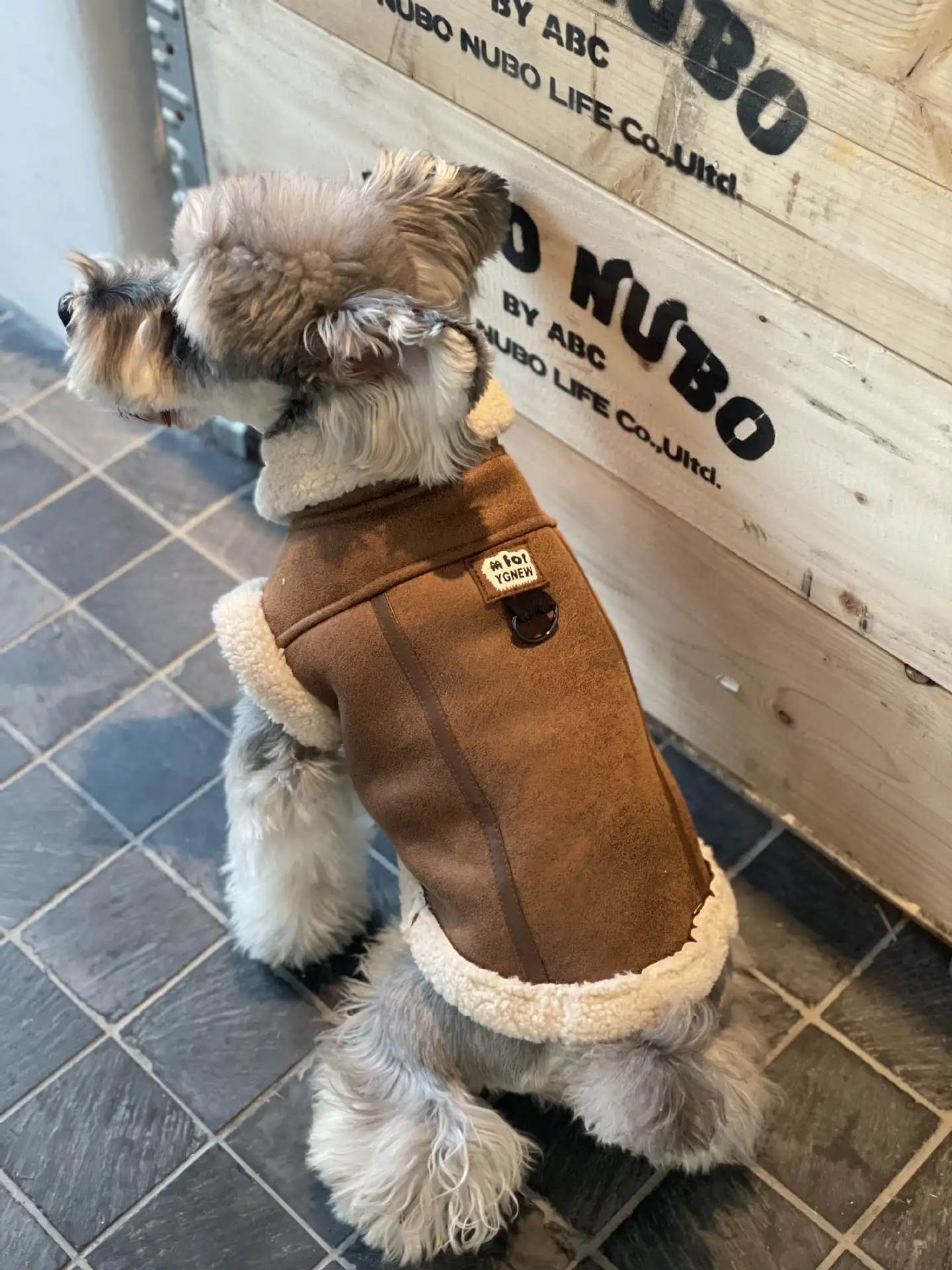 Manteau simili cuir et doublé fausse fourrure pour chien - Oscar et Plume