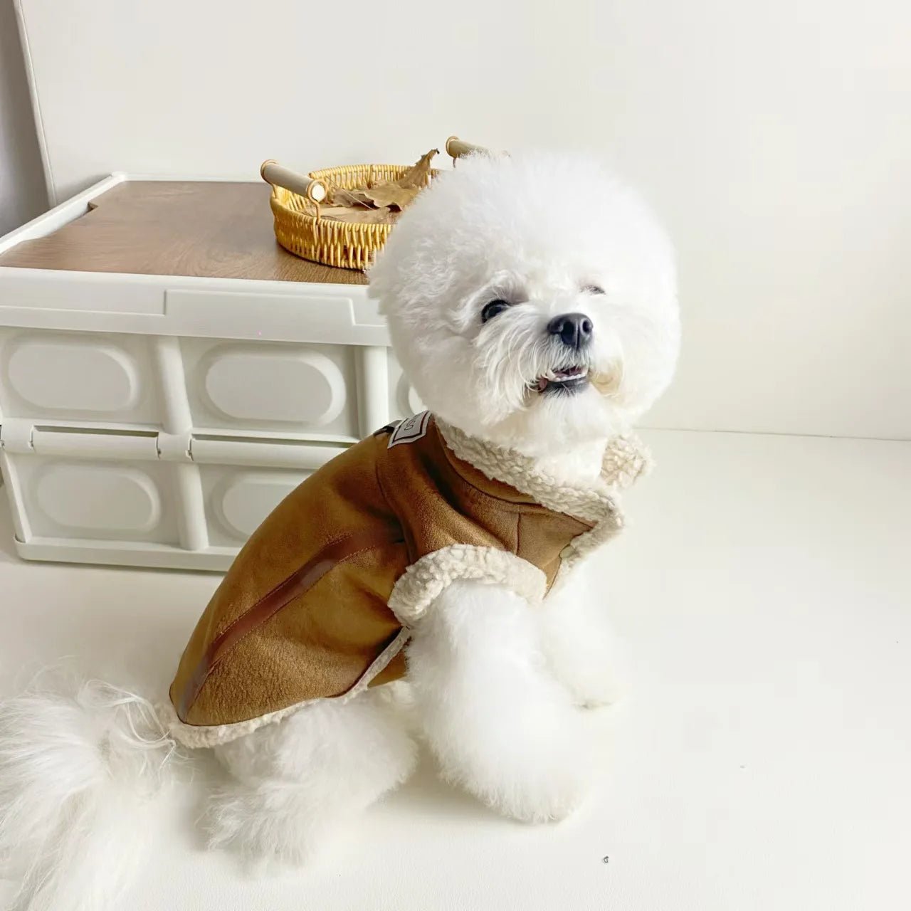 Manteau simili cuir et doublé fausse fourrure pour chien - Oscar et Plume