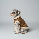 Manteau simili cuir pour chien marron avec doublure en fausse fourrure porté par un petit chien