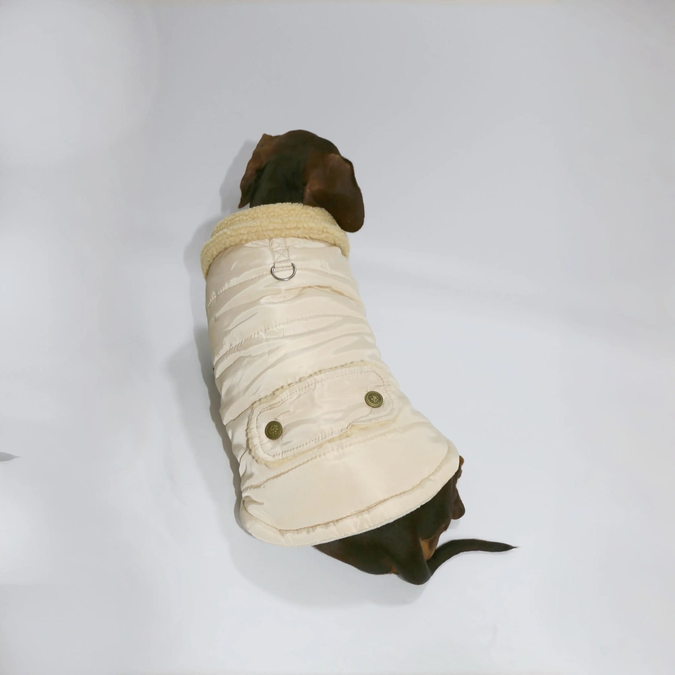 Manteau teckel en crème avec col en fourrure, idéal pour les promenades en hiver