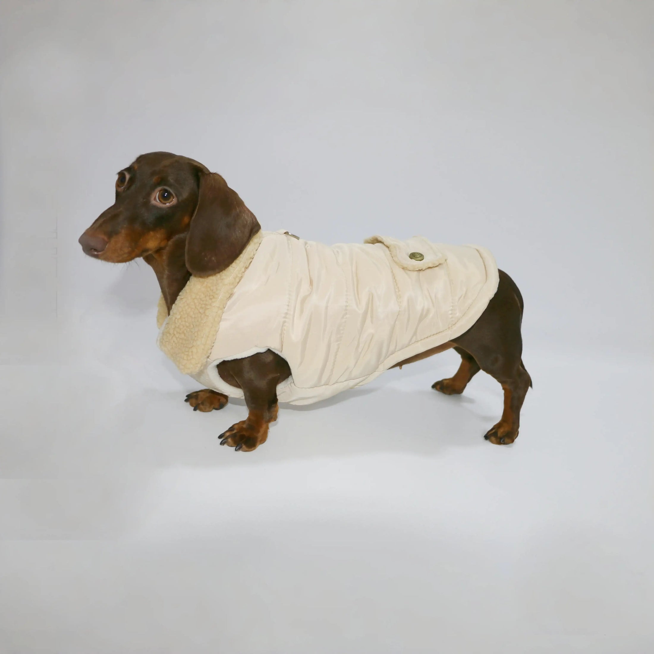 Manteau teckel beige avec col en fausse fourrure pour chien de la marque Oscar et Plume