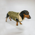 Manteau teckel vert olive avec doublure en fourrure pour chiens de la marque Oscar et Plume