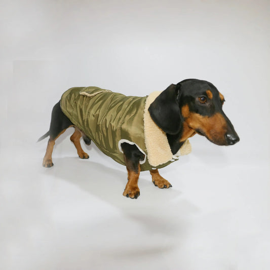 Manteau teckel vert olive avec doublure en fourrure pour chiens de la marque Oscar et Plume
