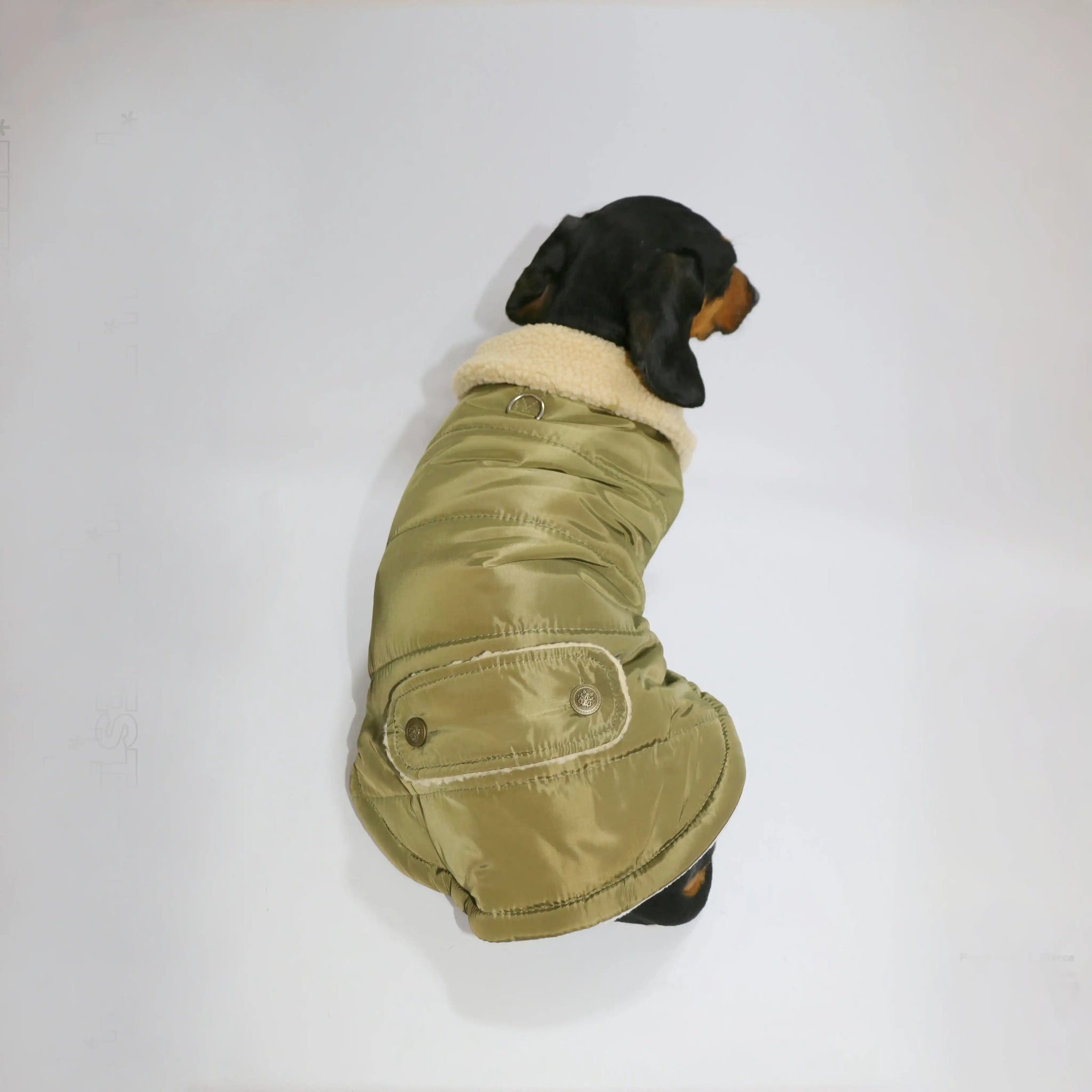Manteau teckel Oscar et Plume en vert olive, avec col en fourrure douce pour un confort optimal.
