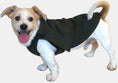 Load image into Gallery viewer, Manteau vert pour chien 100% laine Loden Oscar et Plume
