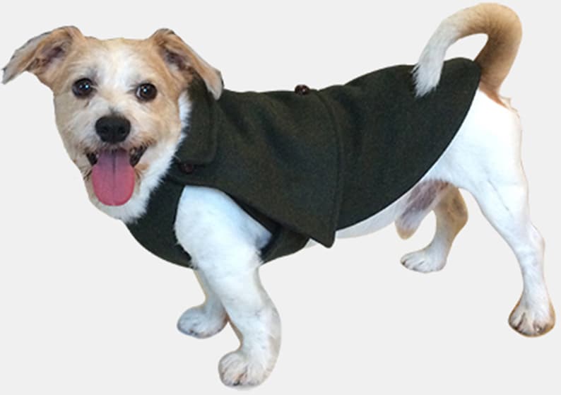 Manteau vert pour chien 100% laine Loden Oscar et Plume