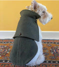 Load image into Gallery viewer, Manteau vert pour chien 100% laine Loden Oscar et Plume
