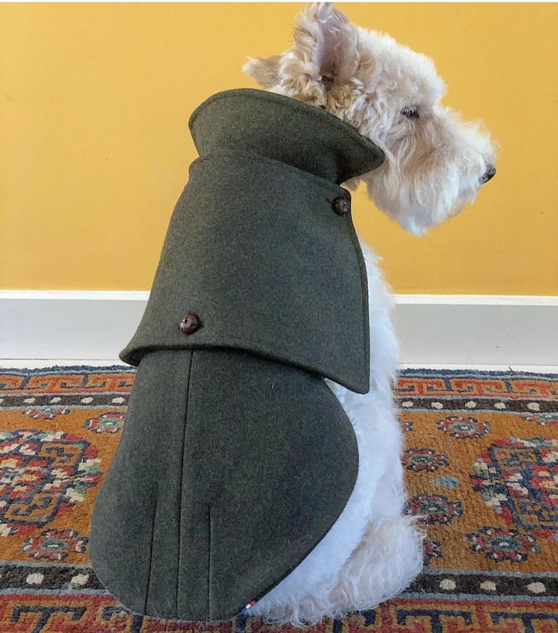 Manteau vert pour chien 100% laine Loden Oscar et Plume