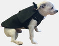 Load image into Gallery viewer, Manteau vert pour chien 100% laine Loden Oscar et Plume
