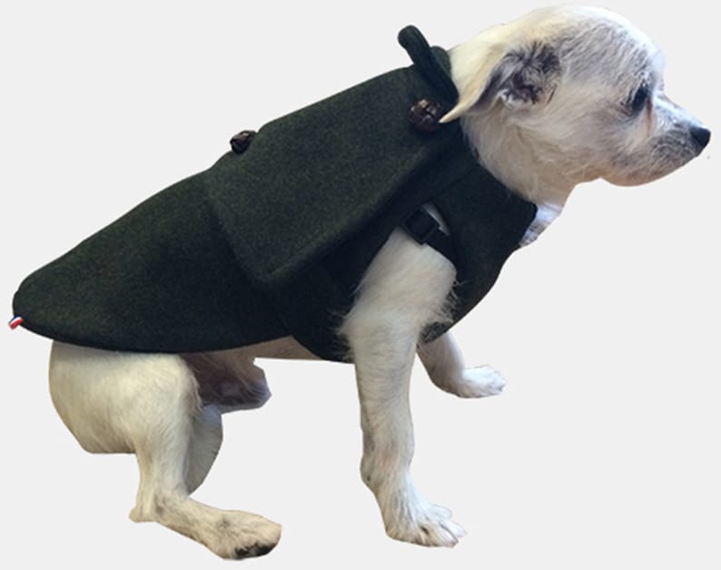 Manteau vert pour chien 100% laine Loden Oscar et Plume