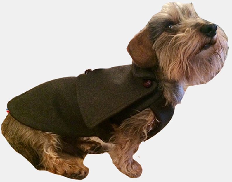 Manteau vert pour chien 100% laine Loden Oscar et Plume