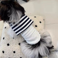 Carica l'immagine nel visualizzatore della galleria, Marinière Pour Chien à rayures pour petits chiens, conçue par Oscar et Plume, comfy et élégante
