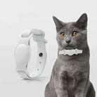 Collier Airtag pour chien en cuir blanc avec attache sécurisée présenté sur un chat gris