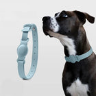 Collier Airtag pour chien bleu clair en cuir souple avec insertion Airtag et chien noir et blanc portant le collier