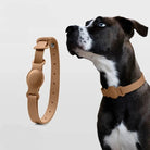 Collier Airtag pour chien en cuir beige par Oscar et Plume, élégant et fonctionnel