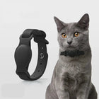 Chat gris portant un collier Airtag pour chien noir ajustable d'Oscar et Plume
