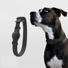 Collier Airtag pour chien noir en silicone souple porté par un chien avec yeux bleus