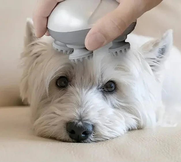 Masseur électrique pour chat et chien - Oscar et Plume