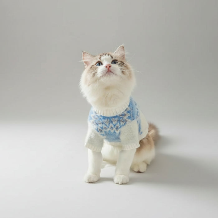 Chat aux poils longs portant un pull chaud pour chien, motif bleu et blanc, regard curieux vers le haut