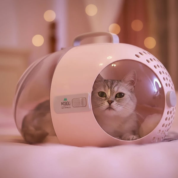 Sac de transport transparent pour chat Oscar et Plume avec design moderne et confortable pour les félins