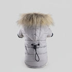 Doudoune imperméable chien grise avec capuche à fourrure et cordon de serrage au dos