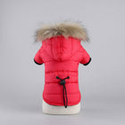 Doudoune imperméable chien rouge avec capuche à fourrure et cordon de serrage au dos