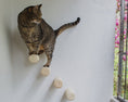 Load image into Gallery viewer, Mur d'escalade design pour chat Oscar et Plume
