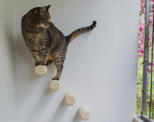 Mur d'escalade design pour chat Oscar et Plume