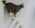 Load image into Gallery viewer, Mur d'escalade design pour chat Oscar et Plume
