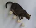 Load image into Gallery viewer, Mur d'escalade design pour chat Oscar et Plume
