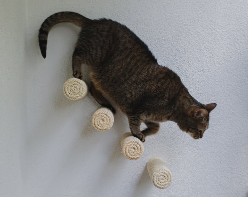 Mur d'escalade design pour chat Oscar et Plume