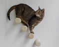 Bild in Galerie-Betrachter laden, Mur d'escalade design pour chat Oscar et Plume Jute
