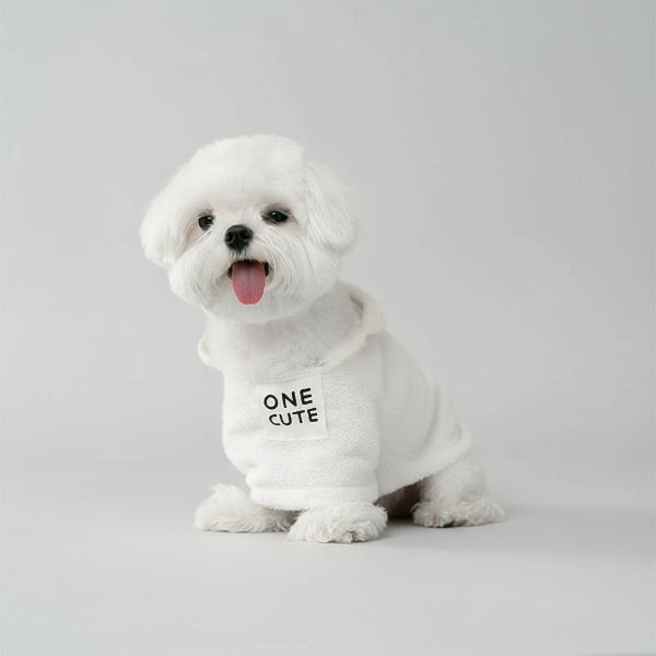 Petit chien blanc portant une serviette absorbante pour chien Oscar et Plume sur une table