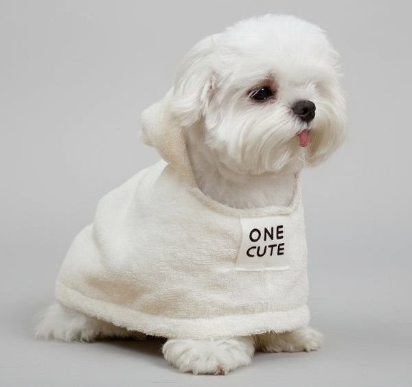 Petit chien blanc portant une serviette absorbante pour chien poncho a capuche Oscar et Plume