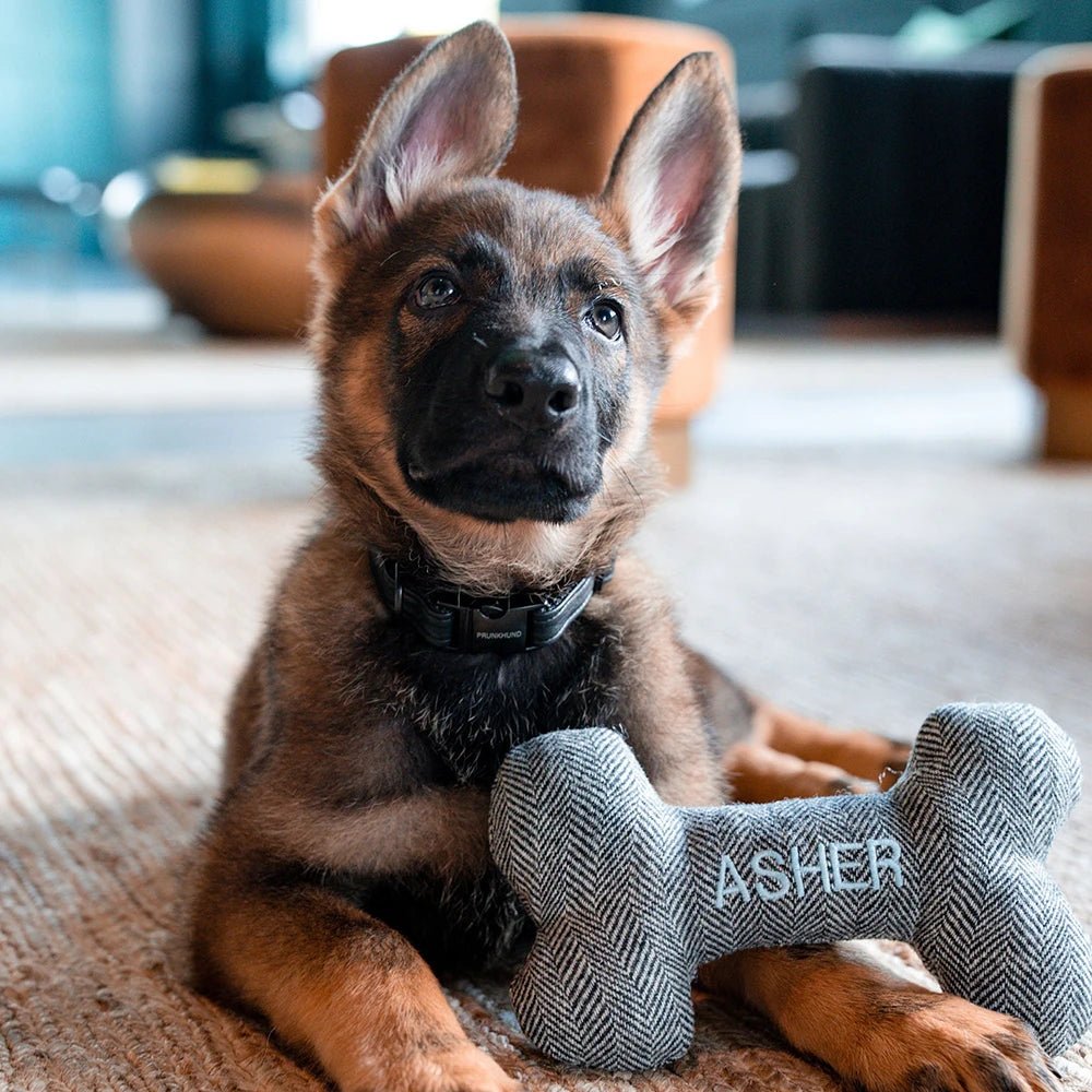 Os personnalisable pour chien Oscar et Plume