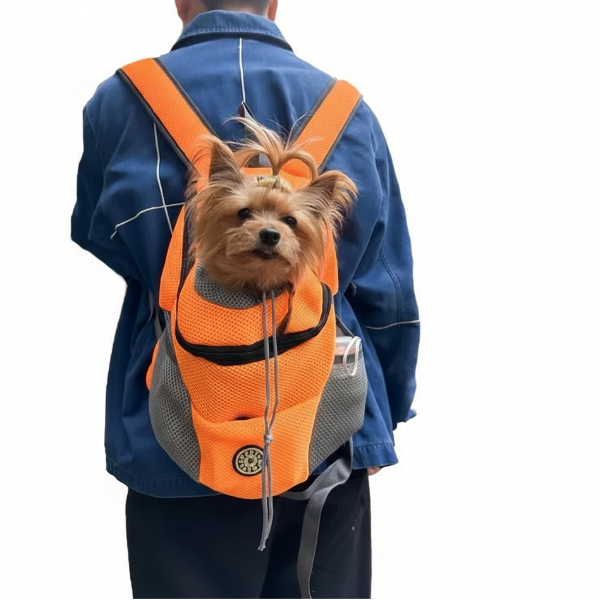 Sac à dos pour petit et moyen chien Oscar et Plume