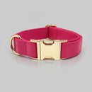 Ensemble Collier, laisse et distributeur de sac personnalisable pour chien Oscar et Plume Collier / XS