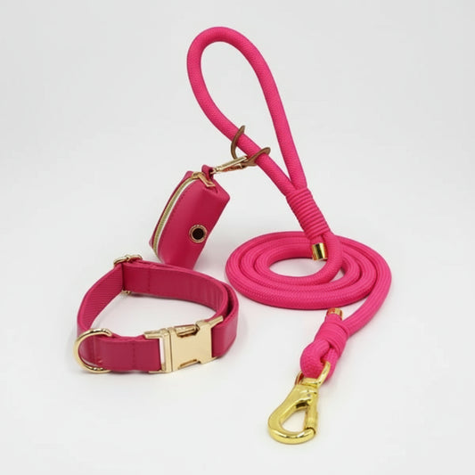 Ensemble Collier, laisse et distributeur de sac personnalisable pour chien Oscar et Plume Collier / XS