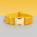 Ensemble Collier personnalisable, laisse et distributeur de sac pour chien Oscar et Plume Collier / XS