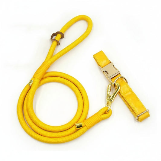 Ensemble Collier personnalisable, laisse et distributeur de sac pour chien Oscar et Plume Collier+laisse / XS