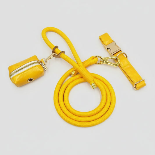 Ensemble Collier en cuir durable personnalisable, laisse et distributeur de sac pour chien - Ensemble 3 pièces / XS