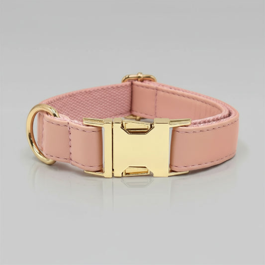 Ensemble Collier personnalisable, laisse et distributeur de sac pour chien Oscar et Plume Collier / XS