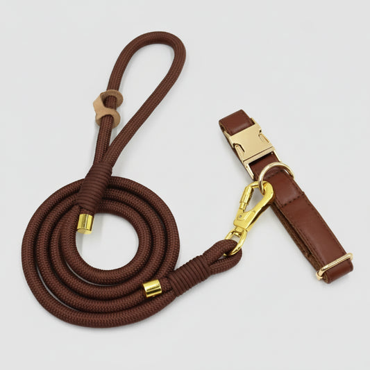 Ensemble Collier en cuir durable personnalisable, laisse et distributeur de sac pour chien - Collier + laisse / XS