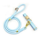 Ensemble Collier en cuir durable personnalisable, laisse et distributeur de sac pour chien - Collier + laisse / XS